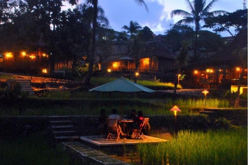 3. Paddy City Resort